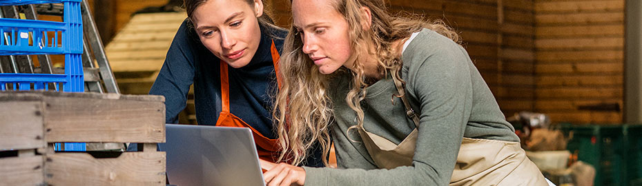 Online Banking Firmenkunden Volksbank Nordharz Eg